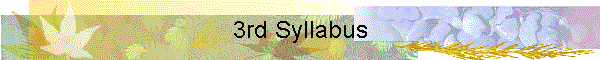3rd Syllabus