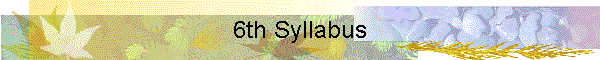 6th Syllabus